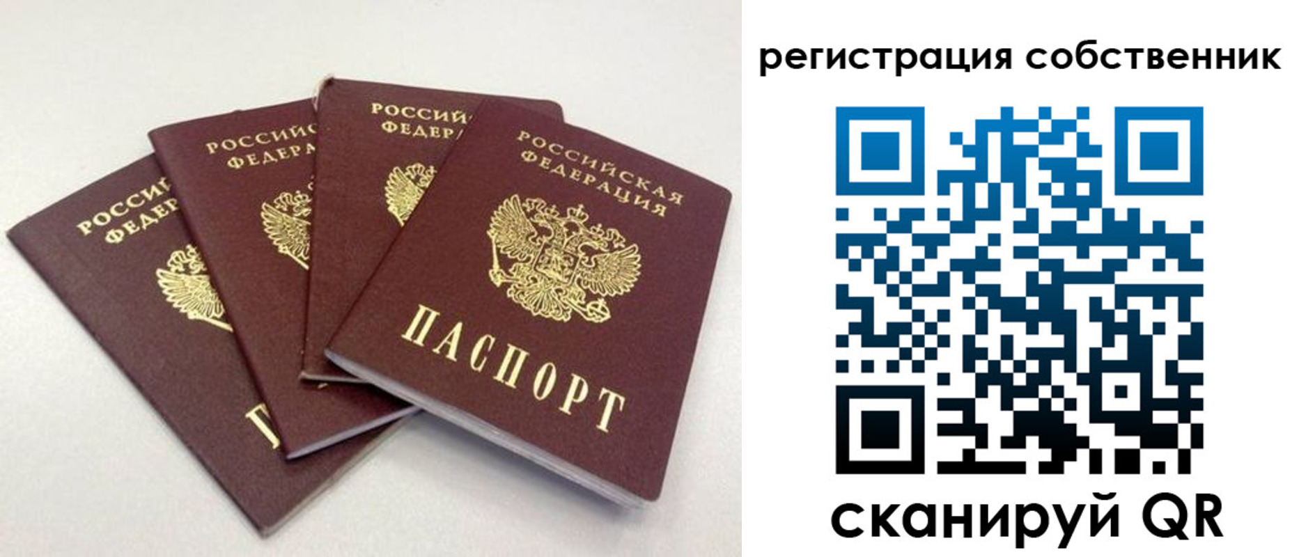 прописка для школы в Котельниче